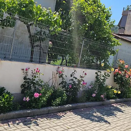 Aliaj 4* Berat