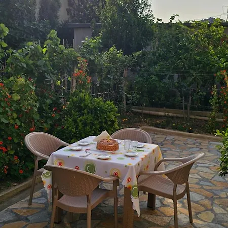Aliaj 4* Berat