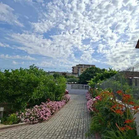 Aliaj Berat