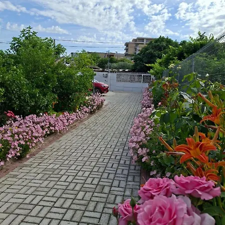 Aliaj Berat