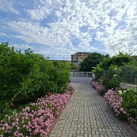 Aliaj Pensionat 4*