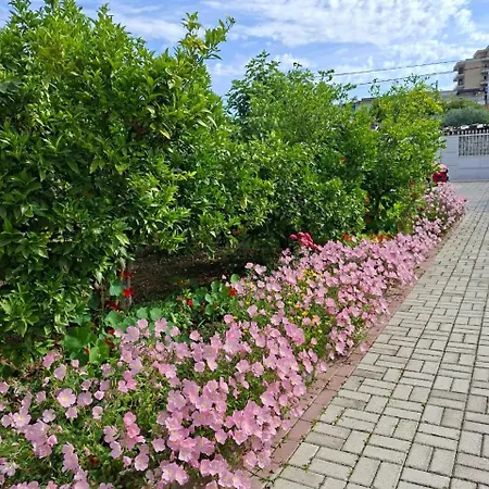 Aliaj Pensionat Berat
